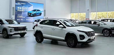 安徽大名車業(yè)（集團）有限公司