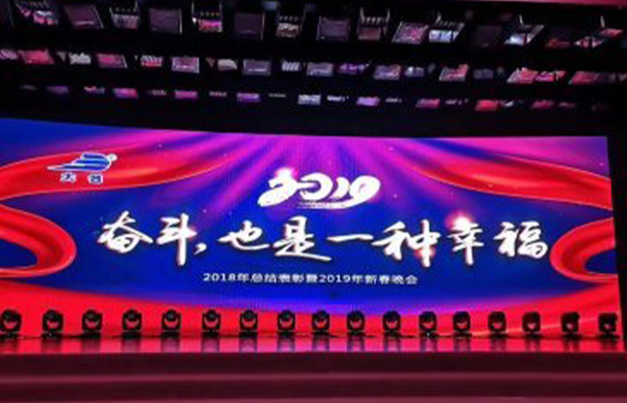 “奮斗，也是一種幸福”大名集團(tuán)2018年總結(jié)表彰暨2019年新春晚會(huì)
