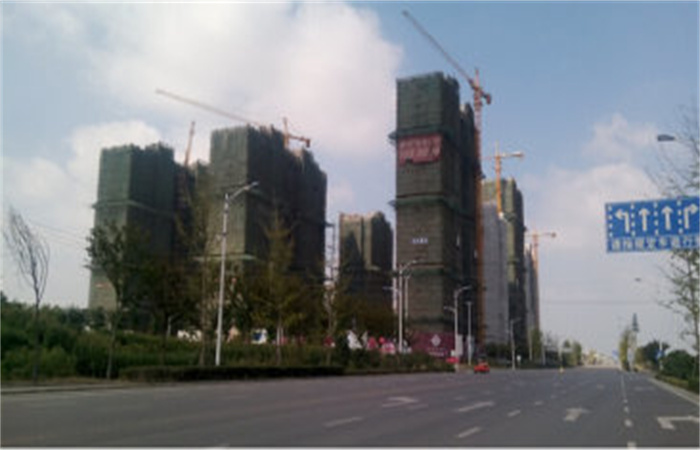 遍地桂花 碩果蒙城
