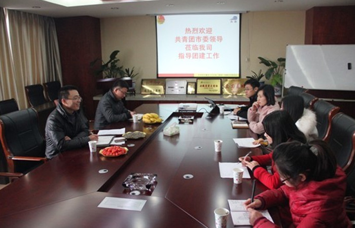 合肥市團(tuán)市委領(lǐng)導(dǎo)蒞臨我司指導(dǎo)集團(tuán)團(tuán)建工作
