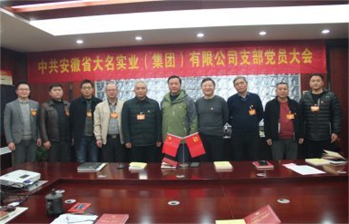 凝心聚力開啟新征程，砥礪奮進(jìn)譜寫新篇章  ——記中共安徽省大名實(shí)業(yè)（集團(tuán)）有限公司支部換屆選舉大會順利召開
