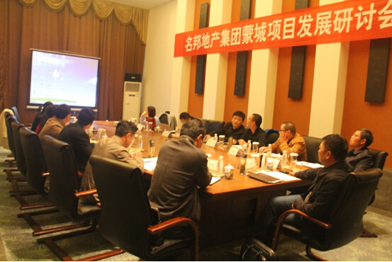 蒙城項(xiàng)目發(fā)展研討會(huì)