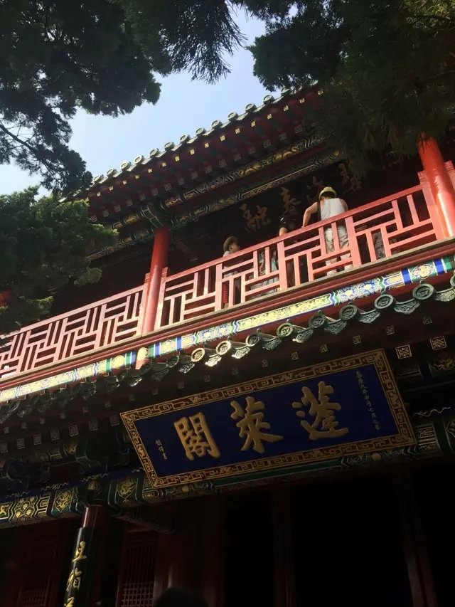 大名集團(tuán)2015年山東長島夏日游