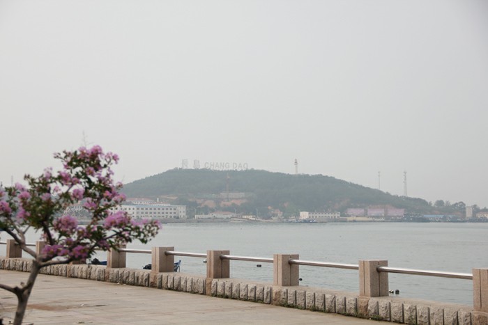 大名集團(tuán)2015年山東長島夏日游