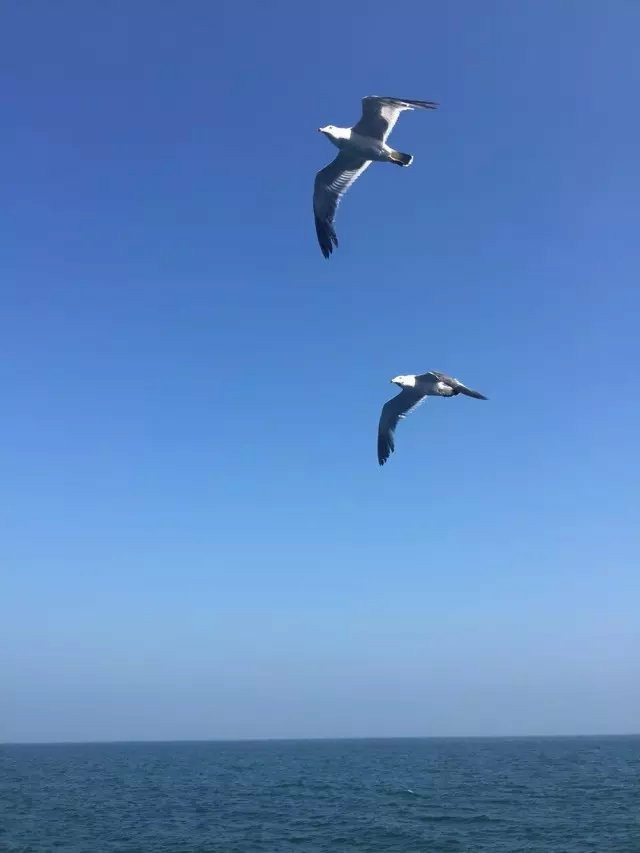 大名集團(tuán)2015年山東長島夏日游