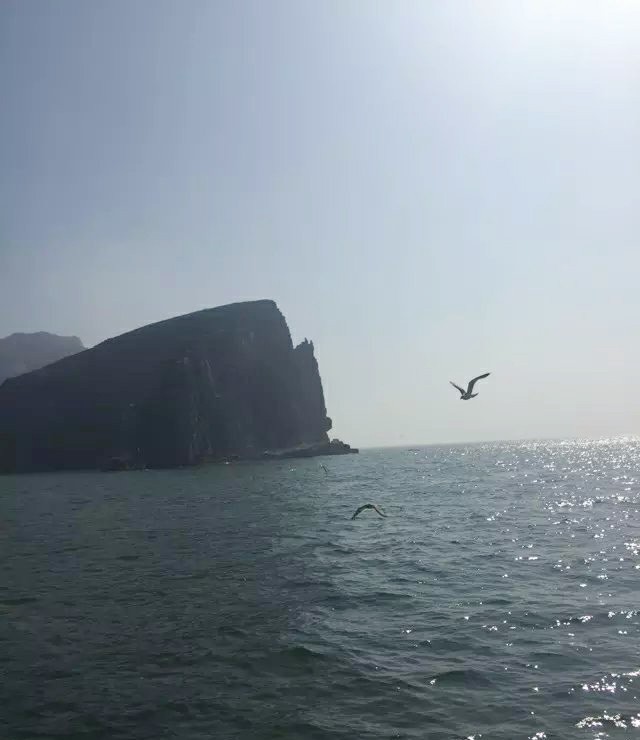 大名集團(tuán)2015年山東長島夏日游