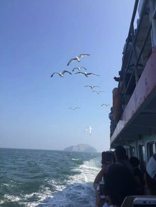 大名集團(tuán)2015年山東長島夏日游