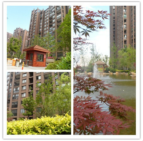 居住城市之中 親臨園林之美