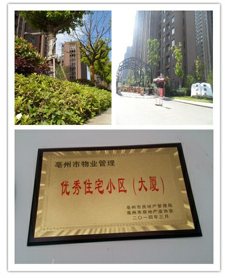 居住城市之中 親臨園林之美