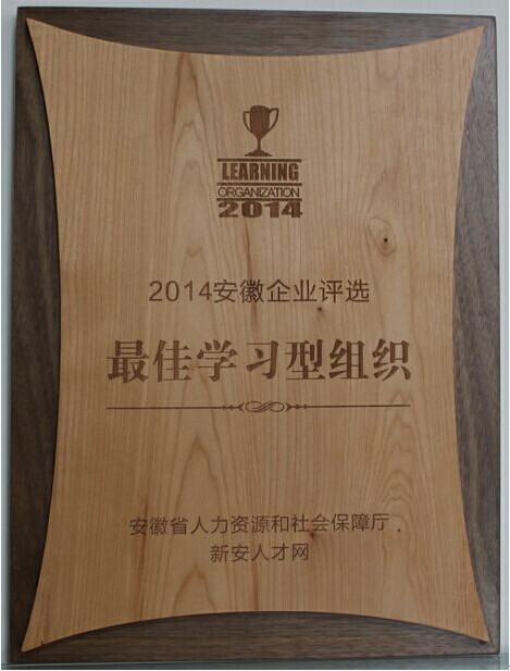 大名集團(tuán)榮膺安徽企業(yè)“最佳學(xué)習(xí)型組織”殊榮 