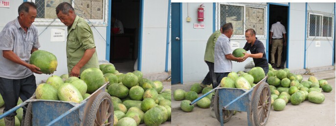 三伏涼來那易得，名邦地產送清涼